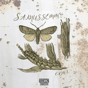 Saknussemm (Assuc Remix)