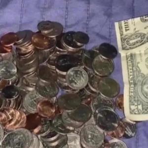 BACKWOODS (Explicit)