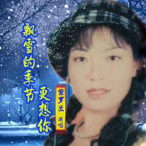 飘雪的季节更想你 (广场舞曲版)