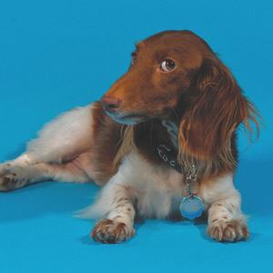 I want you (feat. tunescotti) (Explicit)