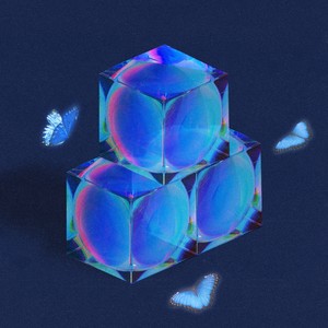 Freeze