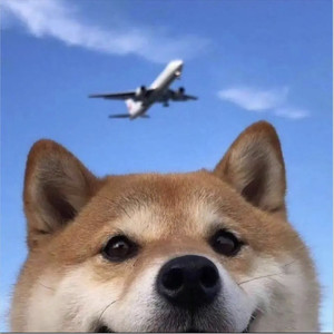 江南红马 (Remix)