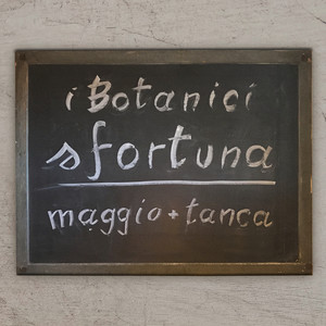 Sfortuna (feat. maggio & Tanca)