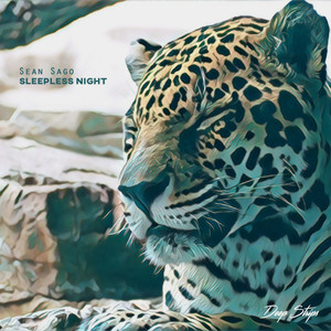 Sleepless Night (Original Mix)