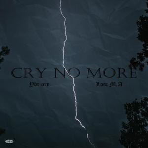 Cry No More (feat. Lost MA)