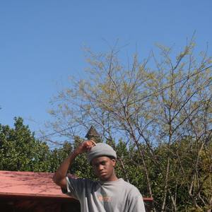 Bruce Lee (Explicit)