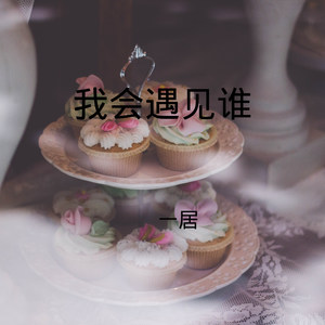 我会遇见谁 (DJ版)