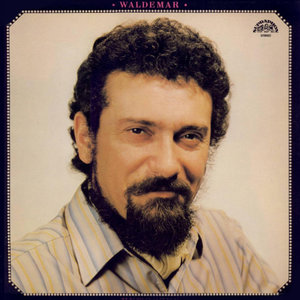 Já mám jódlování rád(Freunde der Berge)