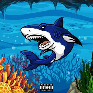 Shark (Explicit)