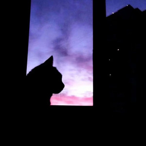 仅此一次的我们