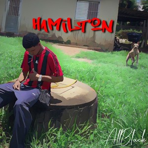 Hamilton (Explicit)