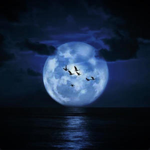 MOON (feat. WST Murda) (Explicit)