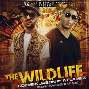 The Wild Life (Explicit)