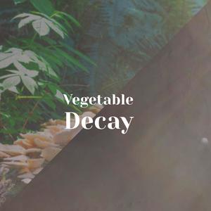 Vegetable Decay