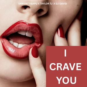 I Crave You (feat. Taylor TJ & DJ David)