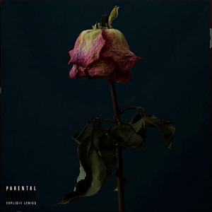 Just Anyone (Explicit)