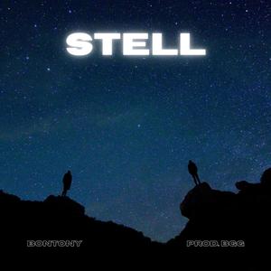 STELL (Explicit)