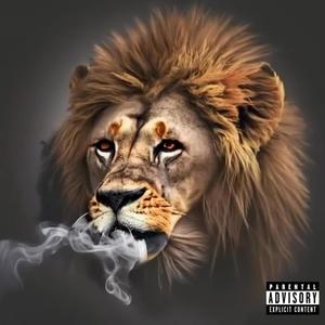 simba flow 3 (Explicit)