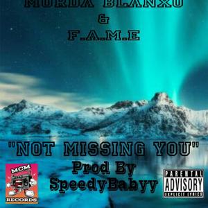 Not Missing You (Explicit)