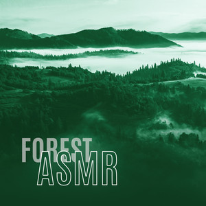 Forest ASMR - Relax & Meditation, Morning Nature Sounds