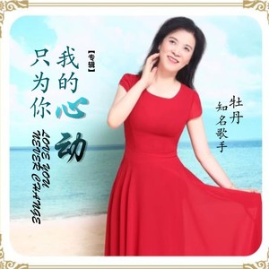 我的心动只为你