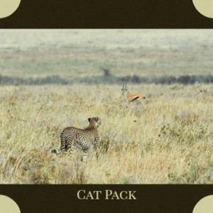 Cat Pack