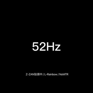 Z-ZAN张靖中 - 52Hz