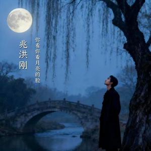 兆洪刚 - 你看你看月亮的脸 (COVER版)