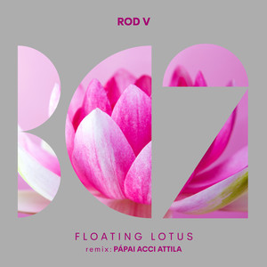 Floating Lotus