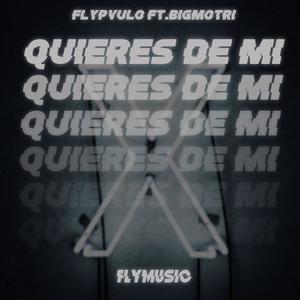 Quieres de mi(feat. bigmotri)
