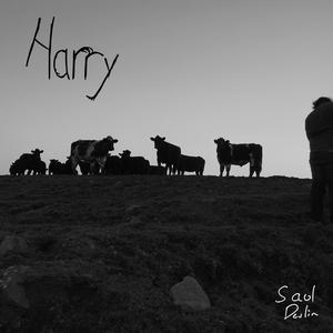 Harry (Single Release) [Explicit]