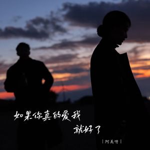 如果你真的爱我就好了 (DJ越鑫版) - 阿美呀封面