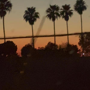 Left a Mark (feat. Foreign Forest)