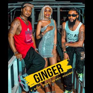 Ginger (feat. Henry Pounds)