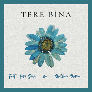 Tere Bina