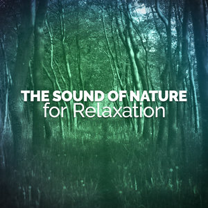 The Sound of Nature for Relaxation