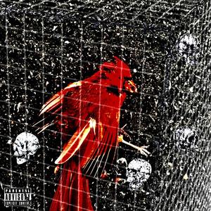 10bandages (bonus track) (feat. lordprison13) (Explicit)