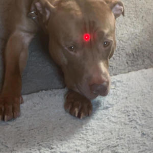 Deady Freestyle (feat. KeyBlixy) (Explicit)