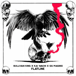 Sullivan King-Flatline (Remix)