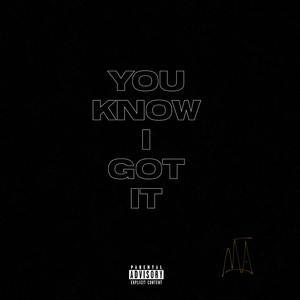 You Know I Got It (Explicit)