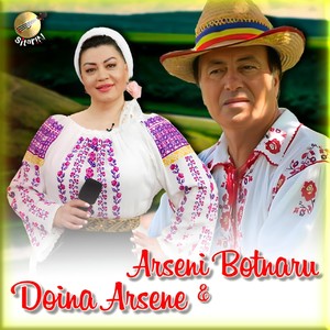 Botnaru Arseni și Doina Arsene (La poarta inimii mele)