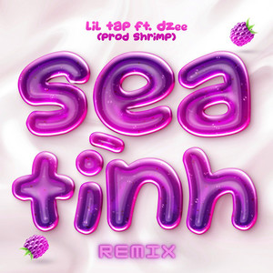 Sea Tình (Remix)