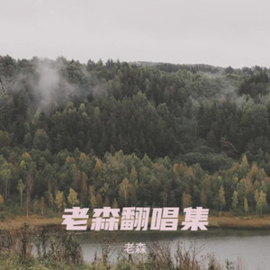 关忆北 (Demo)封面