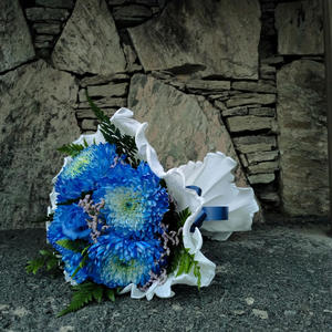 No quiero conocer a más nadie