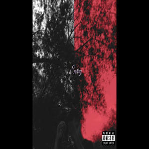 Sorry (feat. Ease Is Easy) (Explicit)