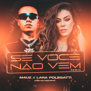 Se Você Não Vem (Remix)