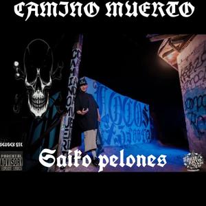 Saiko pelones (feat. Diestro Sb) (Explicit)