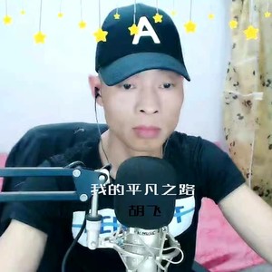 我的平凡之路 (伴奏)