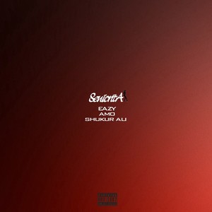 Seniorita (Explicit)