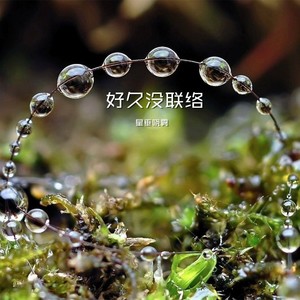 一城山水一场空 (DJ版)